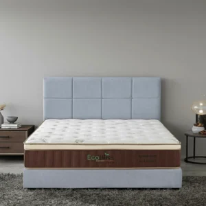 EcoLatex 300